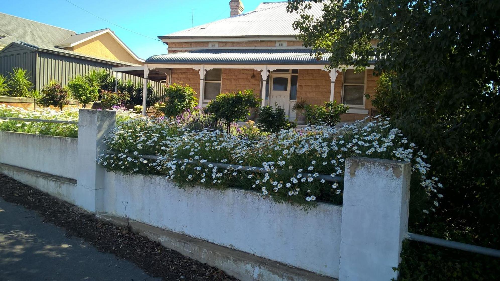 Book Keepers Cottage Waikerie المظهر الخارجي الصورة